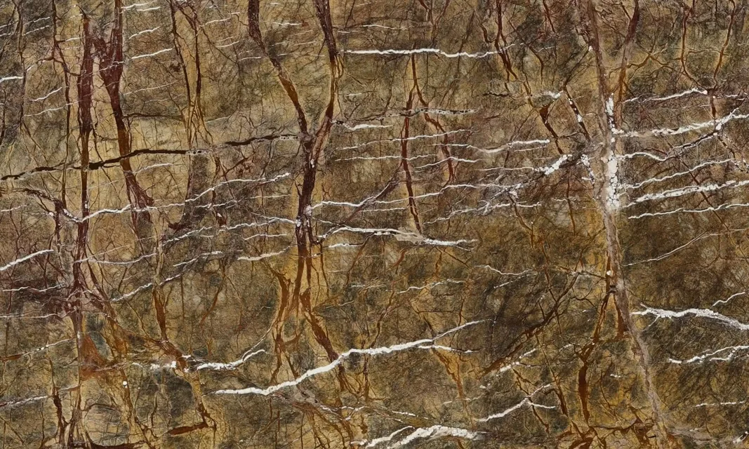 Rain Forest Brown