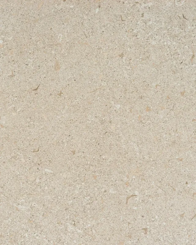 Avorio